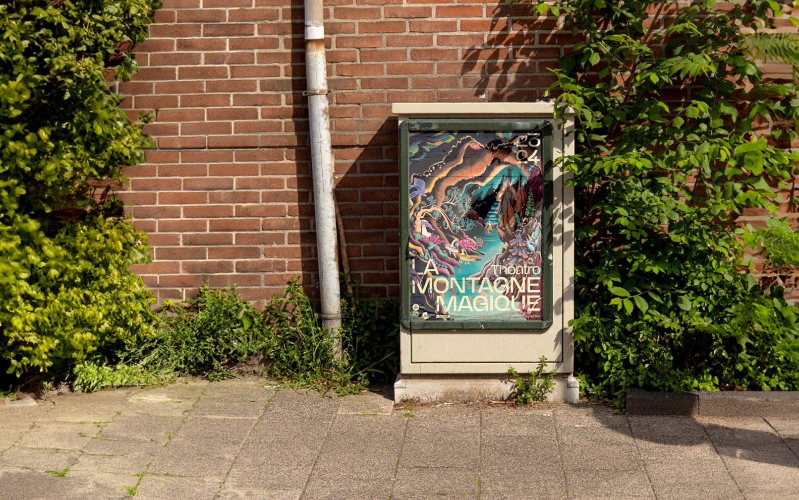 img-6745